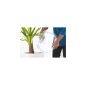 SECHE LINGE POMPE A CHALEUR 10 KG CONNECTE CANDY 66DB CLASS ENERGIE A++ DIFFERE 24H CSOEH10A2TREX SECHE LINGE POMPE A CHALEUR 10 KG CONNECTE CANDY 66DB CLASS ENERGIE A++ DIFFERE 24H CSOEH10A2TREX