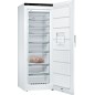 CONGELATEUR ARMOIRE 1 PORTE POSE LIBRE 366 L 38 DB 20KG/24H VENTILE GSN58EWDV