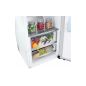 REFRIGERATEUR 1 PORTE TOUT UTILE 386 L LG NO FROST DOOR COOLING METAL FRESH GLT71SWCSE