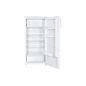 REFRIGERATEUR CONGELATEUR 1 PORTE BRANDT 190 litres (176/14) BST551ESW REFRIGERATEUR CONGELATEUR 1 PORTE BRANDT 190 litres (176/14) BST551ESW