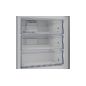REFRIGERATEUR COMBINE 70cm BEKO GRIS NO FROST B3RCNE564HDG REFRIGERATEUR COMBINE 70cm BEKO GRIS NO FROST B3RCNE564HDG